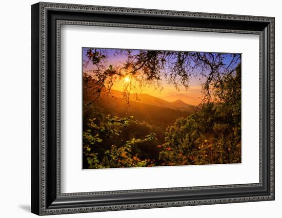 Summer Wonderland at Sunrise Oakland Hills California-Vincent James-Framed Photographic Print