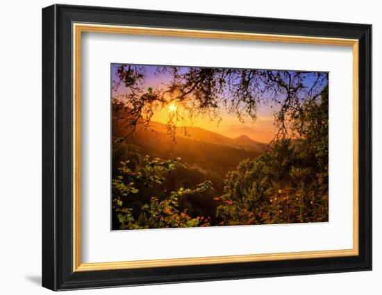 Summer Wonderland at Sunrise Oakland Hills California-Vincent James-Framed Photographic Print