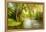 Summer Wood Lake With Trees And Bushes-balaikin2009-Framed Stretched Canvas