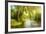 Summer Wood Lake With Trees And Bushes-balaikin2009-Framed Premium Giclee Print