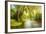 Summer Wood Lake With Trees And Bushes-balaikin2009-Framed Premium Giclee Print