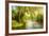 Summer Wood Lake With Trees And Bushes-balaikin2009-Framed Premium Giclee Print