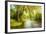 Summer Wood Lake With Trees And Bushes-balaikin2009-Framed Art Print