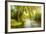 Summer Wood Lake With Trees And Bushes-balaikin2009-Framed Art Print