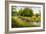 Summer Wood Lake With Trees And Bushes-balaikin2009-Framed Art Print