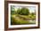 Summer Wood Lake With Trees And Bushes-balaikin2009-Framed Art Print