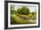 Summer Wood Lake With Trees And Bushes-balaikin2009-Framed Art Print