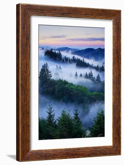 Summer World of Mount Tamalpais, San Francisco, California-Vincent James-Framed Photographic Print