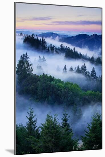 Summer World of Mount Tamalpais, San Francisco, California-Vincent James-Mounted Photographic Print