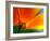 Summer-Ursula Abresch-Framed Photographic Print