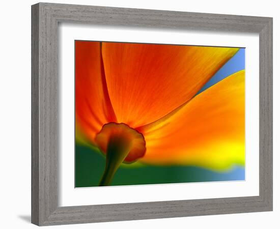 Summer-Ursula Abresch-Framed Photographic Print