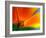 Summer-Ursula Abresch-Framed Photographic Print