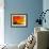 Summer-Ursula Abresch-Framed Photographic Print displayed on a wall