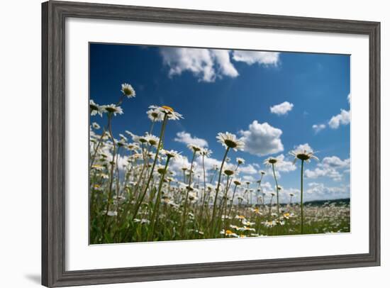 Summer-Yanika-Framed Photographic Print