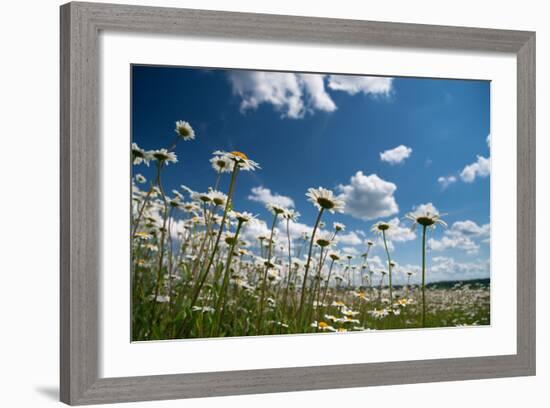 Summer-Yanika-Framed Photographic Print