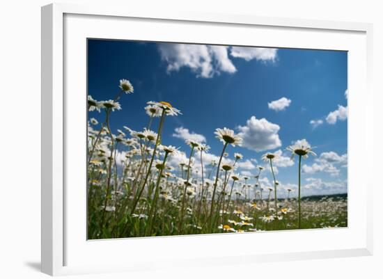 Summer-Yanika-Framed Photographic Print