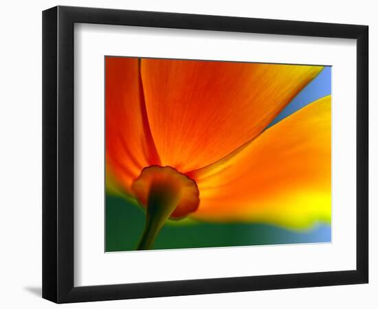 Summer-Ursula Abresch-Framed Premium Photographic Print