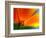 Summer-Ursula Abresch-Framed Photographic Print