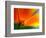 Summer-Ursula Abresch-Framed Photographic Print