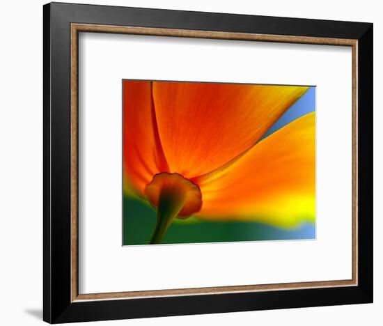 Summer-Ursula Abresch-Framed Photographic Print