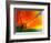 Summer-Ursula Abresch-Framed Photographic Print