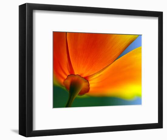 Summer-Ursula Abresch-Framed Photographic Print