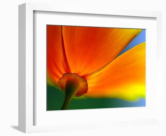 Summer-Ursula Abresch-Framed Photographic Print