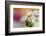 Summer-Heidi Westum-Framed Photographic Print