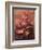 Summer-Giuseppe Arcimboldo-Framed Giclee Print