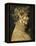 Summer-Giuseppe Arcimboldo-Framed Stretched Canvas