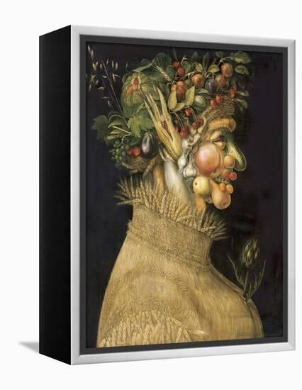 Summer-Giuseppe Arcimboldo-Framed Stretched Canvas