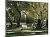 Summer-Henri Rousseau-Mounted Premium Giclee Print