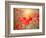 Summer-Marco Carmassi-Framed Photographic Print