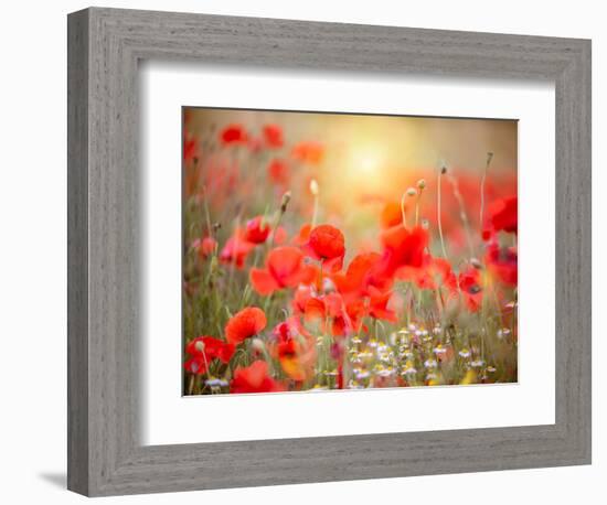 Summer-Marco Carmassi-Framed Photographic Print