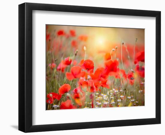 Summer-Marco Carmassi-Framed Photographic Print