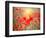 Summer-Marco Carmassi-Framed Photographic Print