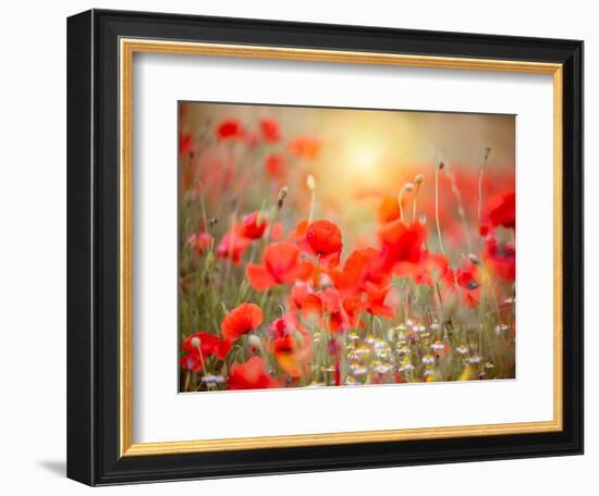 Summer-Marco Carmassi-Framed Photographic Print