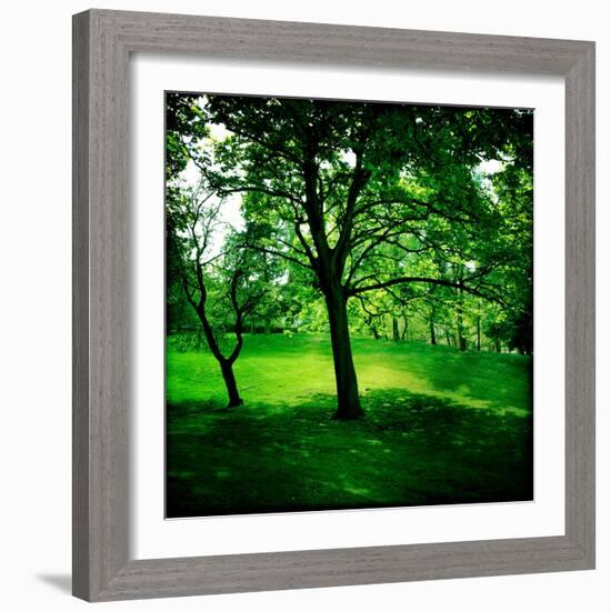 Summers Adventure-Craig Roberts-Framed Photographic Print