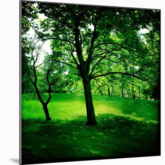 Summers Adventure-Craig Roberts-Mounted Photographic Print