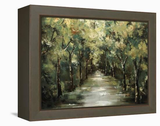 Summers Light I-Sydney Edmunds-Framed Premier Image Canvas