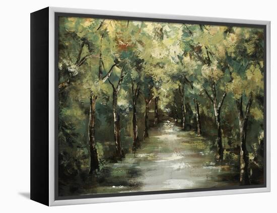 Summers Light I-Sydney Edmunds-Framed Premier Image Canvas