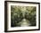 Summers Light I-Sydney Edmunds-Framed Giclee Print