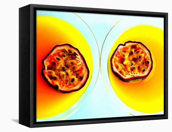 Summerstar Martinis with Passion Fruit and Champagne-null-Framed Premier Image Canvas