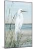 Summertime Heron I-Sally Swatland-Mounted Art Print