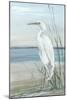 Summertime Heron II-Sally Swatland-Mounted Art Print