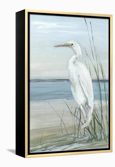 Summertime Heron II-Sally Swatland-Framed Stretched Canvas