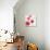 Summertime Poppies IV-Irina Trzaskos Studios-Giclee Print displayed on a wall