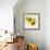 Summertime Sunflowers I-Irina Trzaskos Studios-Framed Giclee Print displayed on a wall