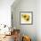 Summertime Sunflowers I-Irina Trzaskos Studios-Framed Giclee Print displayed on a wall