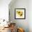 Summertime Sunflowers I-Irina Trzaskos Studios-Framed Giclee Print displayed on a wall